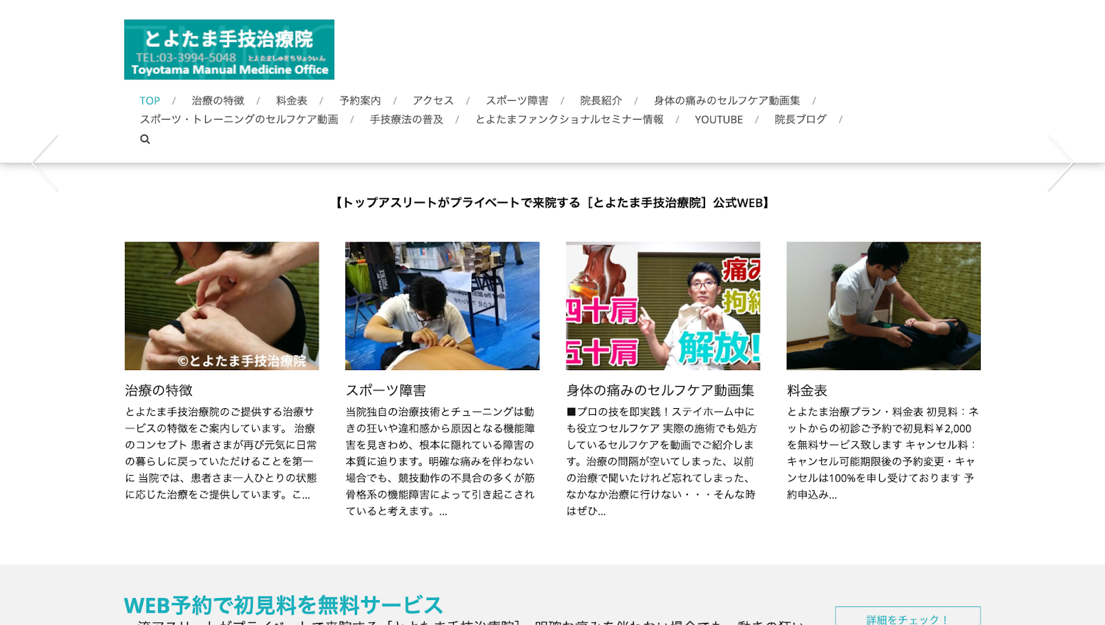 とよたま手技治療院